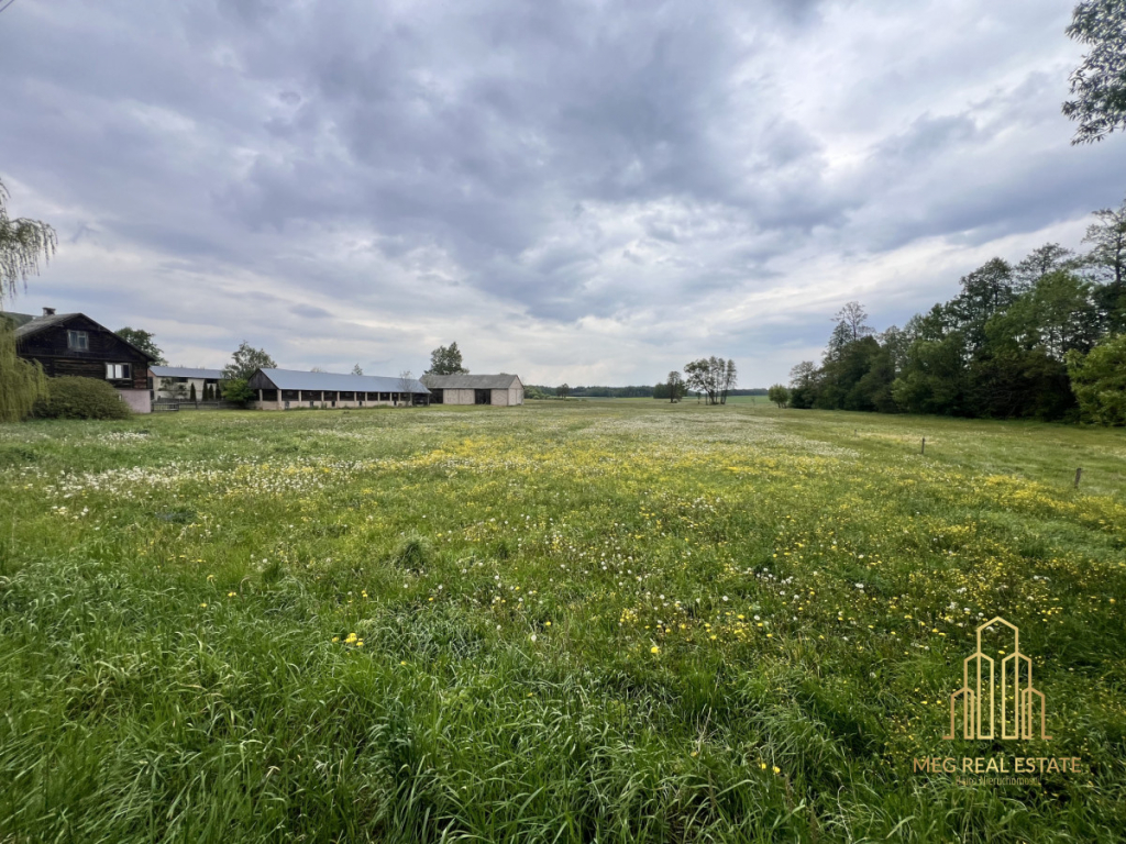 Podlaskie siedlisko z domem-duża, urokliwa działka Świrydy - zdjęcie 4