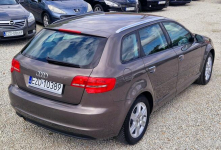 Audi A3 Niski przebieg! Automat! Stan wzorowy! Zamiana też! Gwarancja! Zduńska Wola - zdjęcie 11