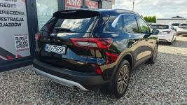 Ford Kuga // Winter// HYBRID// Niski przebieg// Ostrołęka - zdjęcie 5