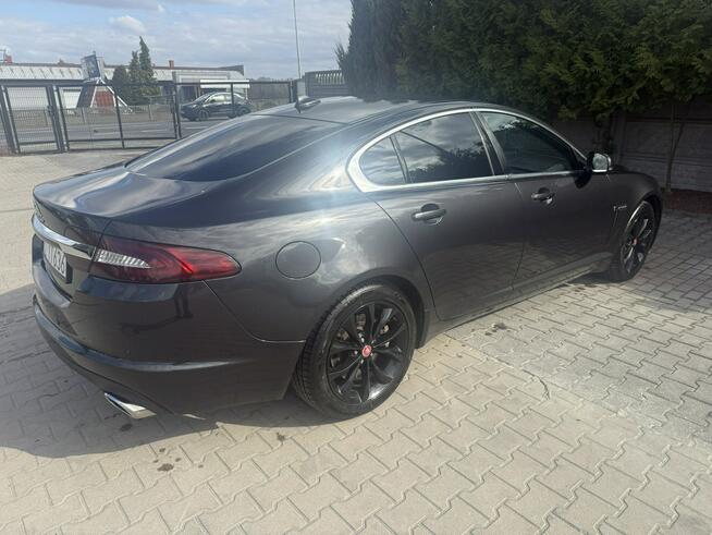Jaguar XF Zielona Łąka - zdjęcie 4