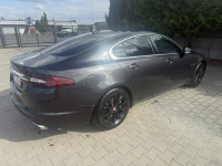 Jaguar XF Zielona Łąka - zdjęcie 4