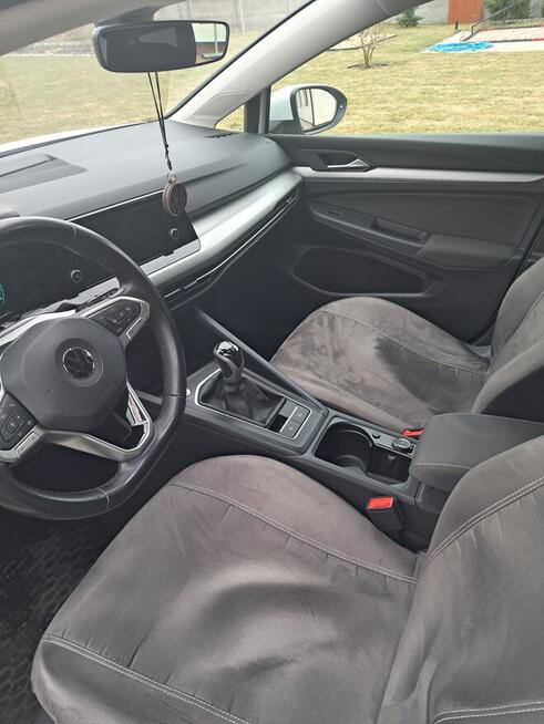 VW GOLF 8 Turek - zdjęcie 3