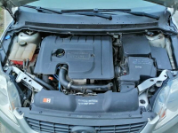 FORD FOCUS sprzedam Elbląg - zdjęcie 2