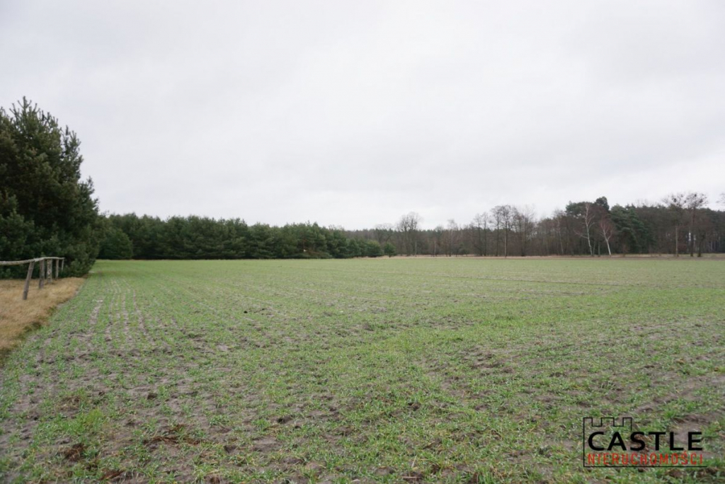 Działka w pięknej okolicy Stefanowice - zdjęcie 1