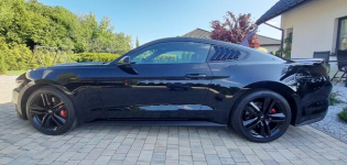 Mustang turbo, performance pack + premium pack + modyfikacje Chruszczobród - zdjęcie 7