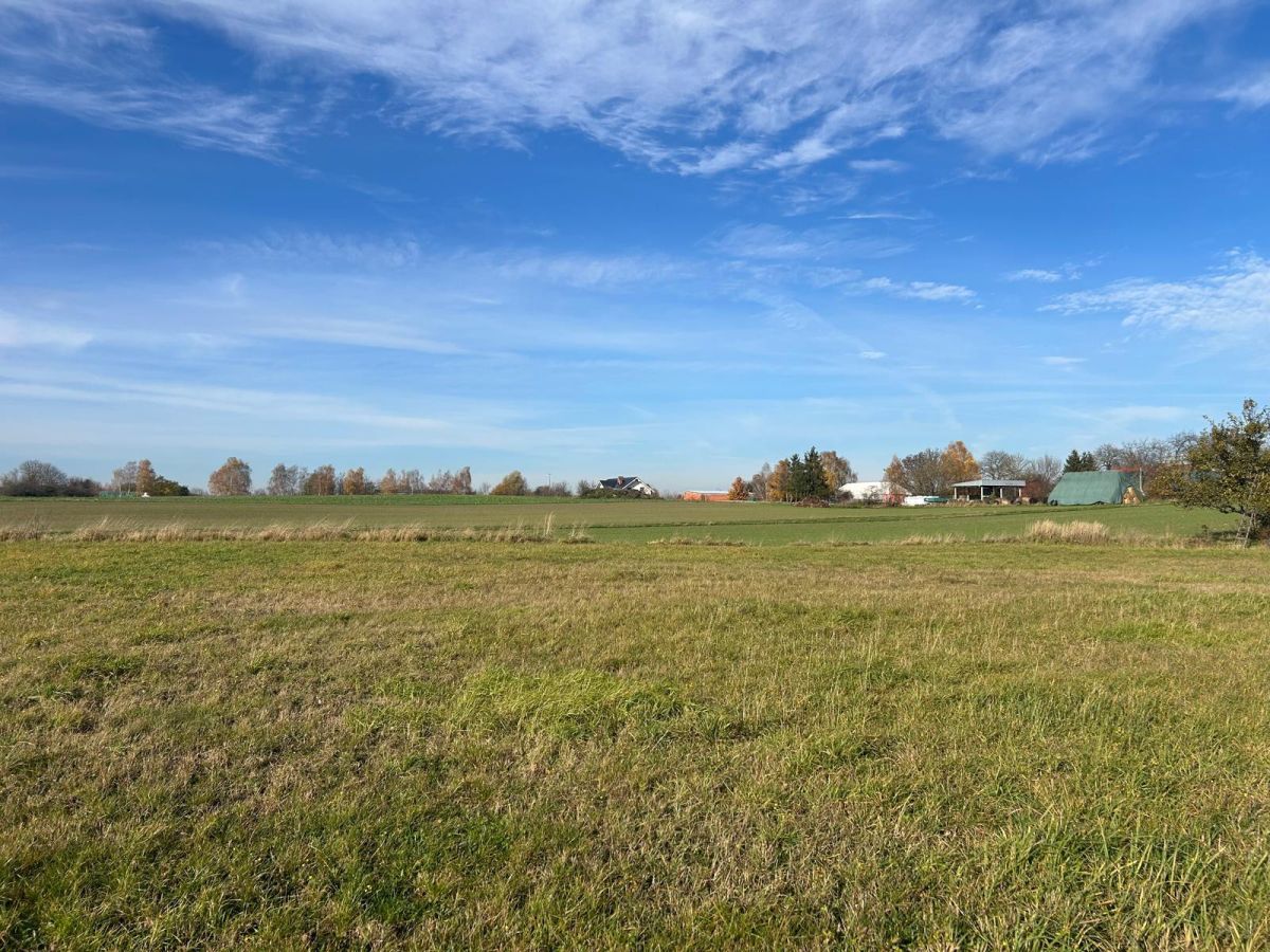 Działka w zielonej części miasta – idealna pod dom Poznań - zdjęcie 8