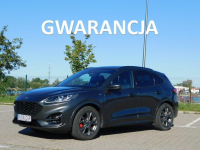 Ford Kuga ST-Line z Gwarancją Model 2021r