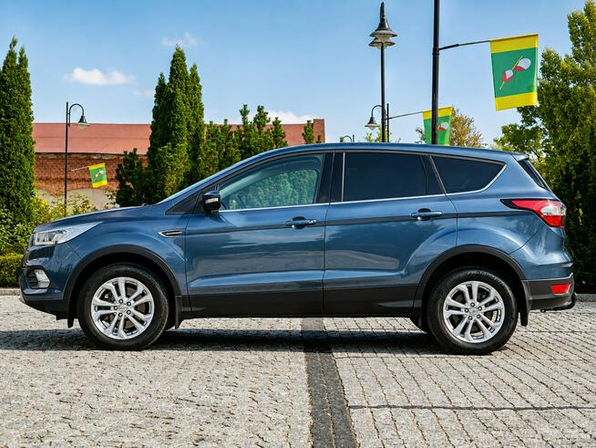 Ford Kuga Sadlno - zdjęcie 5