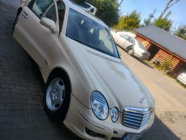Sprzedam/Zamienię Mercedes E-Klasa W211 Koszalin - zdjęcie 1