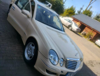 Sprzedam/Zamienię Mercedes E-Klasa W211