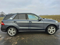 Mercedes ML 250 250cdi 4 matic 220tys Km ! Pleszew - zdjęcie 3