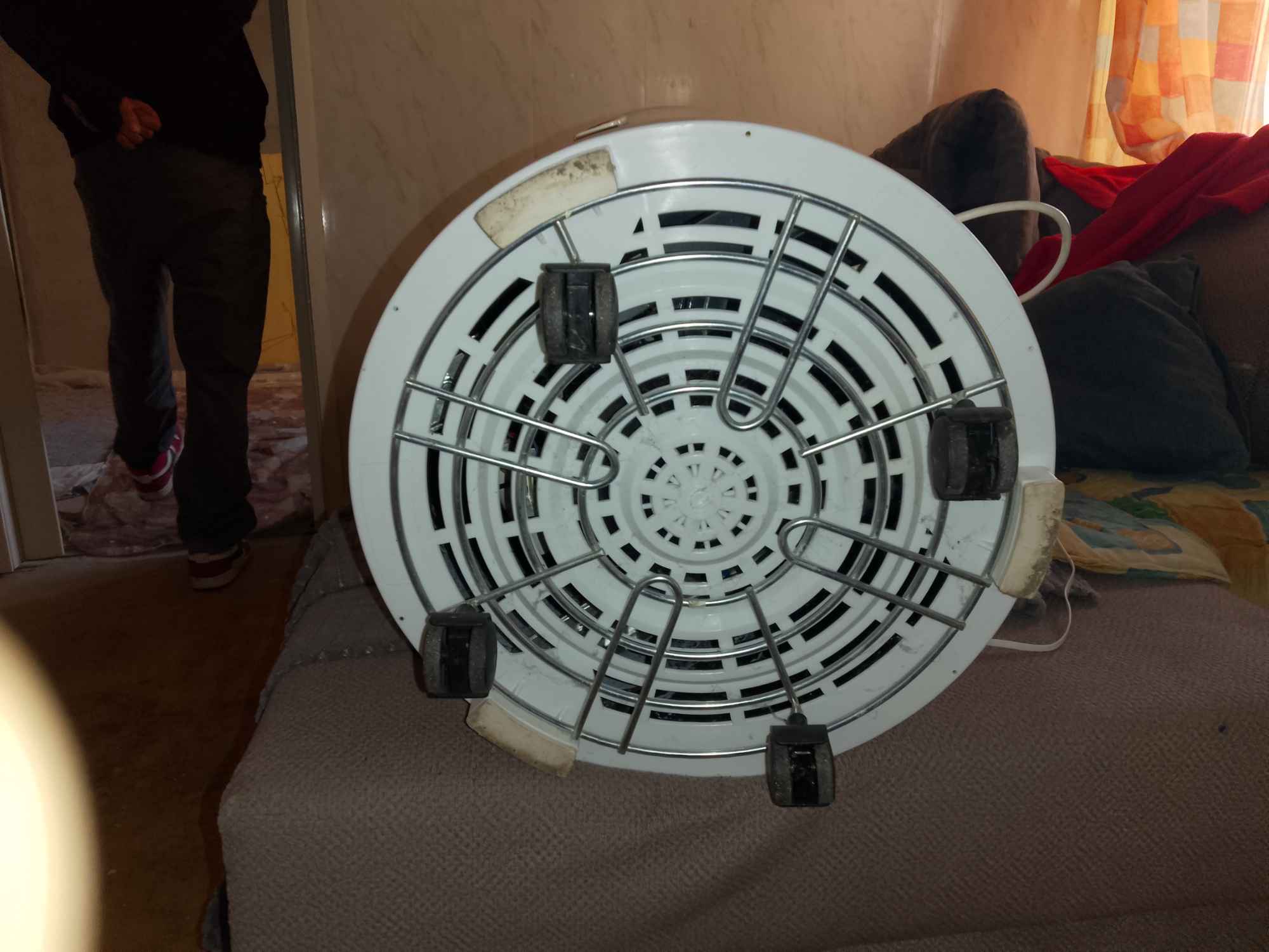 Frania Strzegom - zdjęcie 3