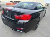 Piękna, bardzo dobrze utrzymana czarna perła Bliżyn - zdjęcie 11