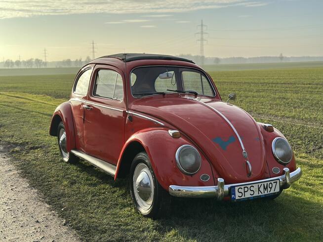 VW Volkswagen Garbus dziadek 1959 rok. Zarejestrowany w PL Pszczyna - zdjęcie 6