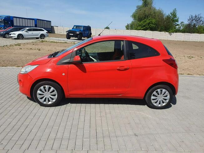 Ford KA 1.2 Beznyna Wspomaganie kierownicy 2009r Raty Zamiana Strobice - zdjęcie 3