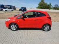 Ford KA 1.2 Beznyna Wspomaganie kierownicy 2009r Raty Zamiana Strobice - zdjęcie 3