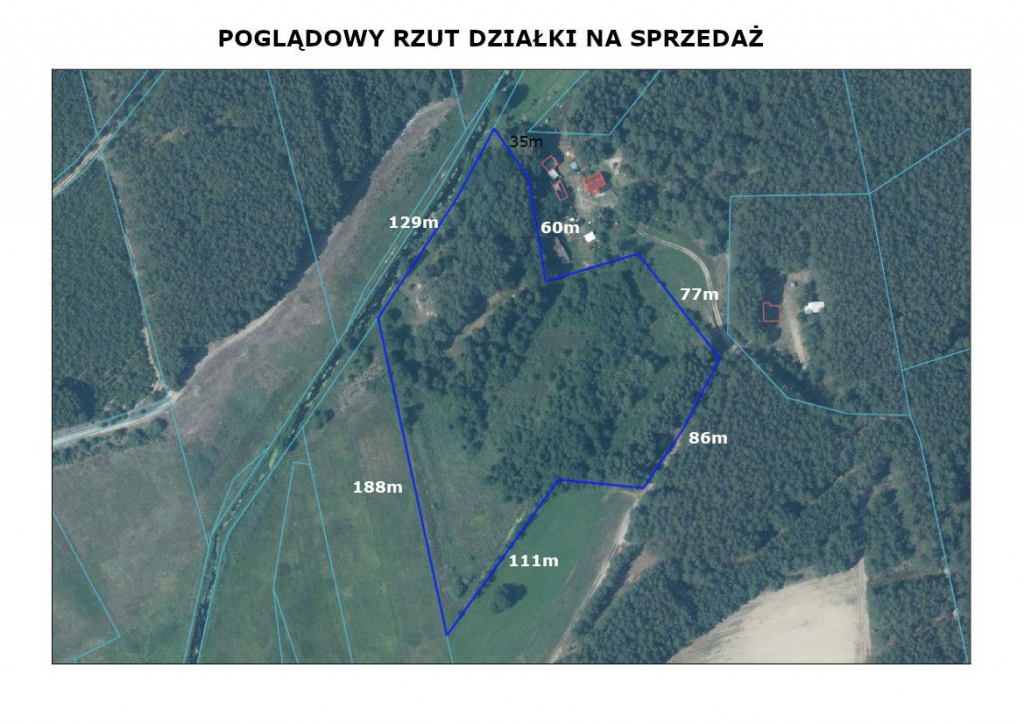 Zainwestuj na obszarze Natura 2000 Puszcza Notecka Marylin - zdjęcie 2