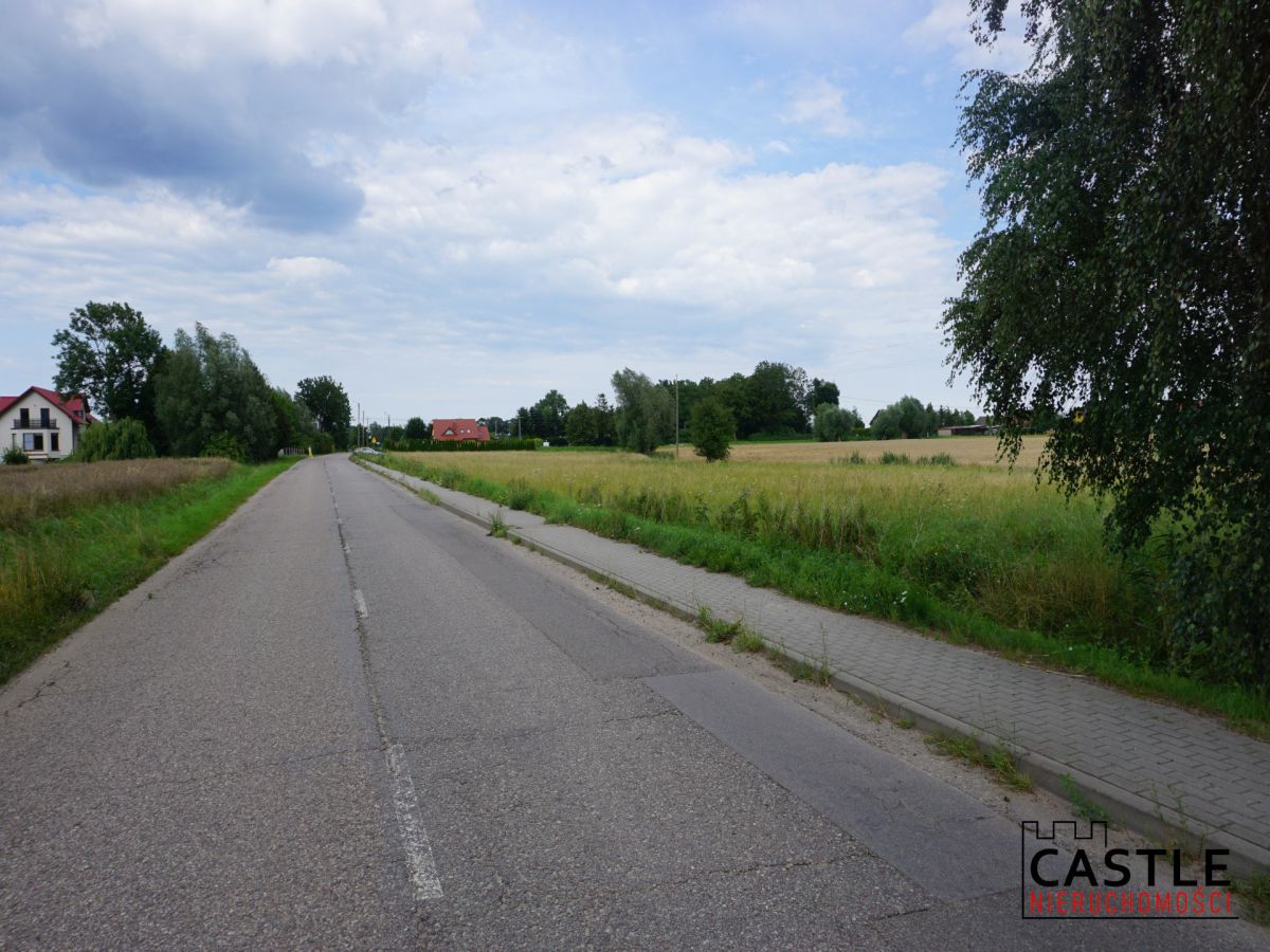 Działka 6303 m² | Bogatka koło Gdańska Bogatka - zdjęcie 6