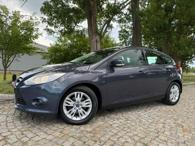 Ford Focus 1.6 TDCi DPF Champions Edition Gostynin - zdjęcie 11