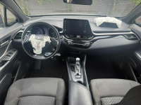 Toyota C-HR Zielona Łąka - zdjęcie 8