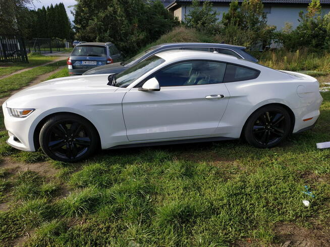 Syndyk sprzeda Ford Mustang Wrocław - zdjęcie 2