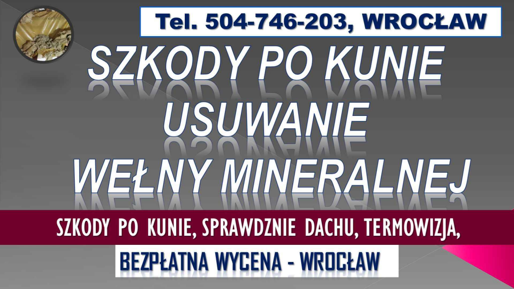 Szkody po kunie, sprawdzenie dachu, tel. 504-746-203, naprawa szkód, Psie Pole - zdjęcie 2