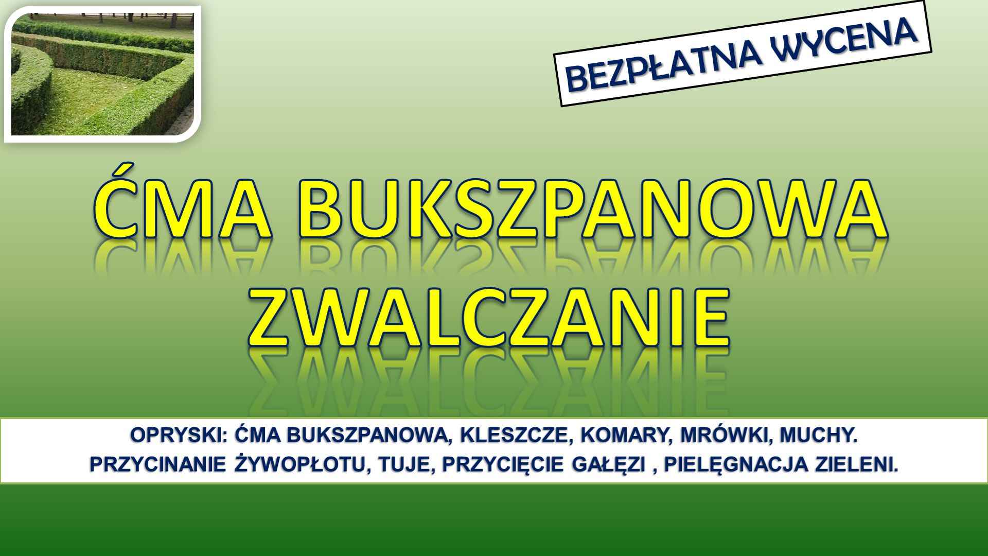 Opryski na ćmę  bukszpanową, Wrocław, tel. 504-746-203. mszyce, oprysk Psie Pole - zdjęcie 1