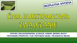 Opryski na ćmę  bukszpanową, Wrocław, tel. 504-746-203. mszyce, oprysk Psie Pole - zdjęcie 1