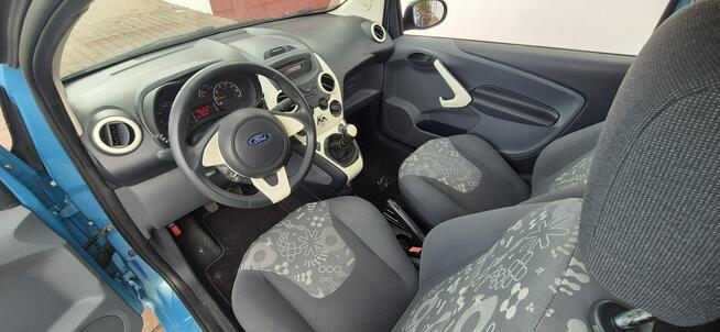 Ford KA GRZANE FOTELE Paproć - zdjęcie 12