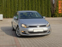 Volkswagen Golf 4 Motion Navi Klima 4 x 4 Nowy Sącz - zdjęcie 1