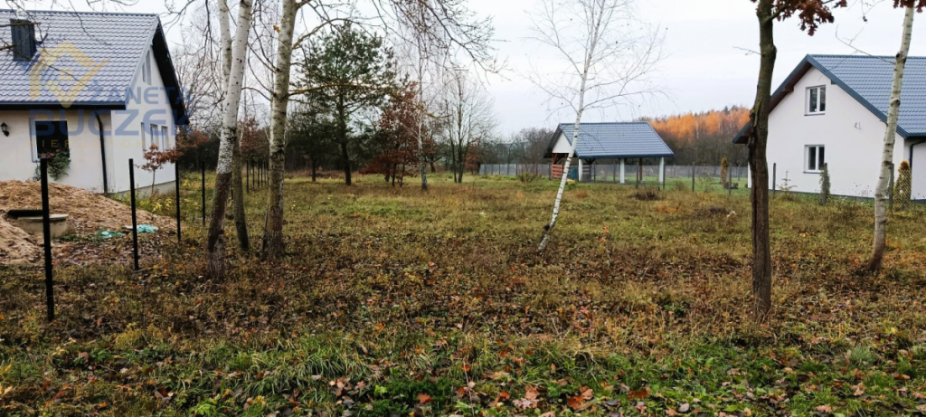 Sprzedam działkę budowlaną w Grzybowie Grzybów - zdjęcie 6