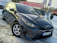 Kia Cee'd 2023*Benzyna*LED*Gwarancja Bibice - zdjęcie 12