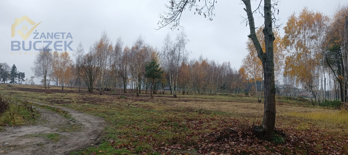 nieruchomość rolno-leśna zabudowana Młodzieszyn - zdjęcie 9
