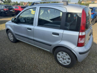 Fiat Panda klima, zarejestrowany, 80tys.km! Zbąszyń - zdjęcie 4