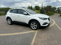 Opel Grandland X Lipówki - zdjęcie 6