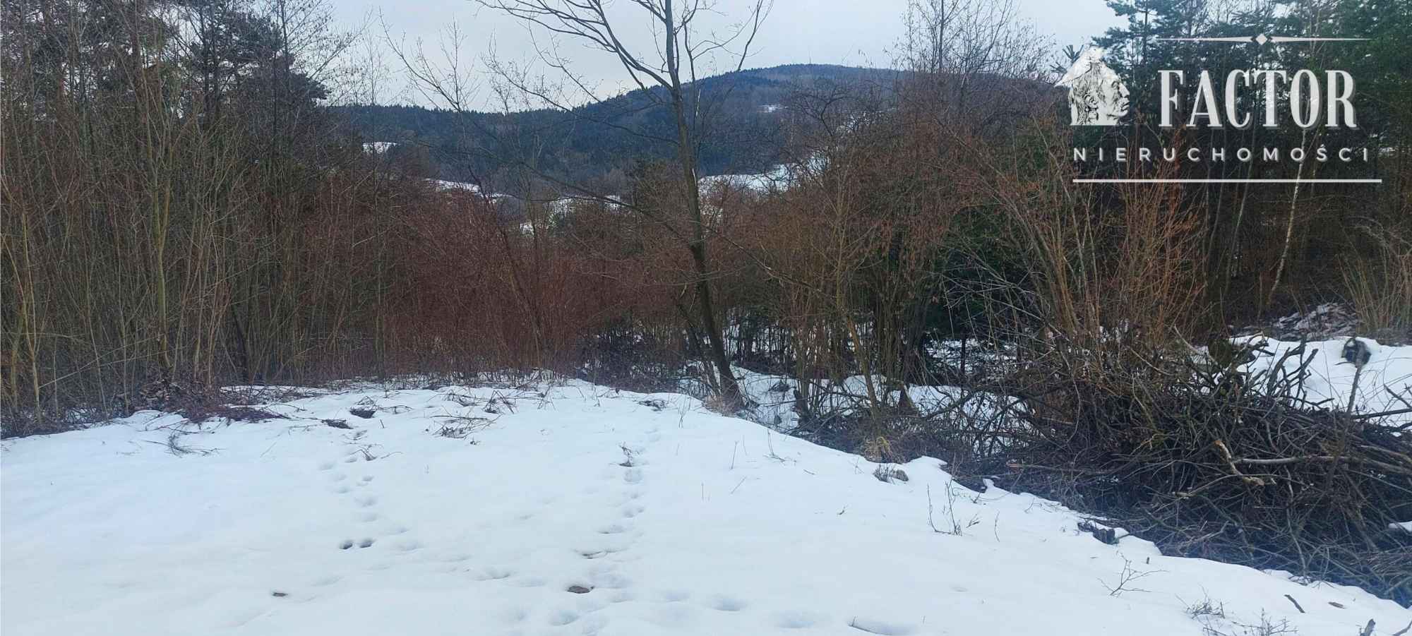 Działka budowlana w otulinie drzew 35 a – Siary, gm. Sękowa 1175S/2026 Siary - zdjęcie 2