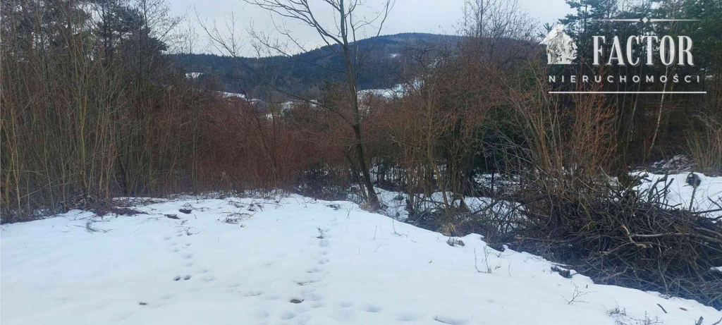 Działka budowlana w otulinie drzew 35 a – Siary, gm. Sękowa 1175S/2026 Siary - zdjęcie 2