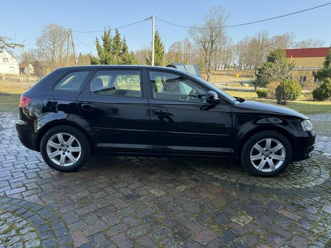 Audi A3 1.6MPI 102KM Sportback z Niemiec Zadbany Facelift Ocice - zdjęcie 10
