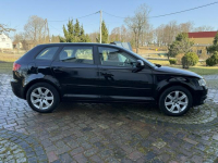 Audi A3 1.6MPI 102KM Sportback z Niemiec Zadbany Facelift Ocice - zdjęcie 10