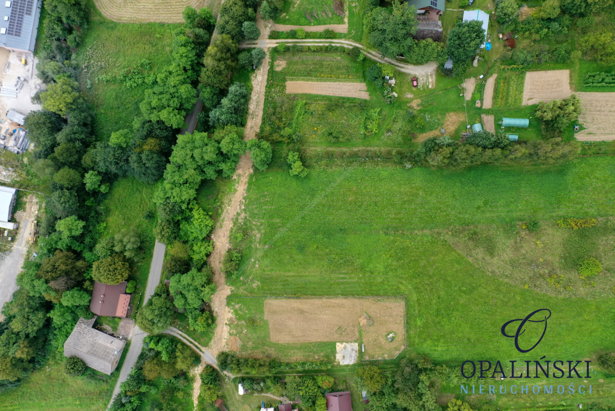 Działka budowlana 21ar z warunkami zabudowy na dom Błędowa Tyczyńska - zdjęcie 10