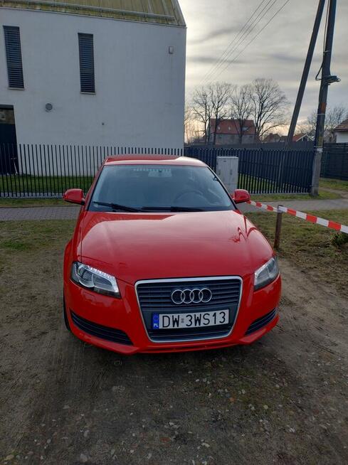 Ładne Audi A3 Psie Pole - zdjęcie 1
