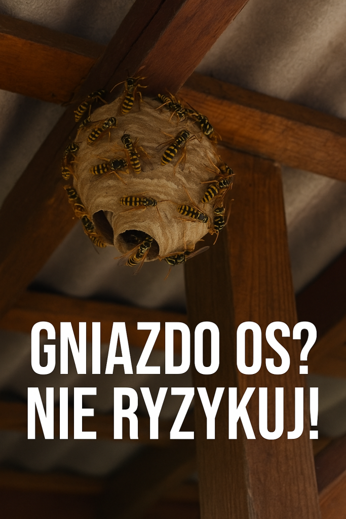 Usuwamy OSY i SZERSZENIE. Gniazda OS i SZERSZENI. InsektStop Siedlce Siedlce - zdjęcie 3