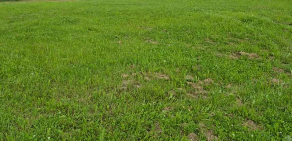 Działka Budowlana (400 m2) okolica Samotworu MEDIA (Gałów) Gałów - zdjęcie 1