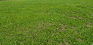 Działka Budowlana (400 m2) okolica Samotworu MEDIA (Gałów)