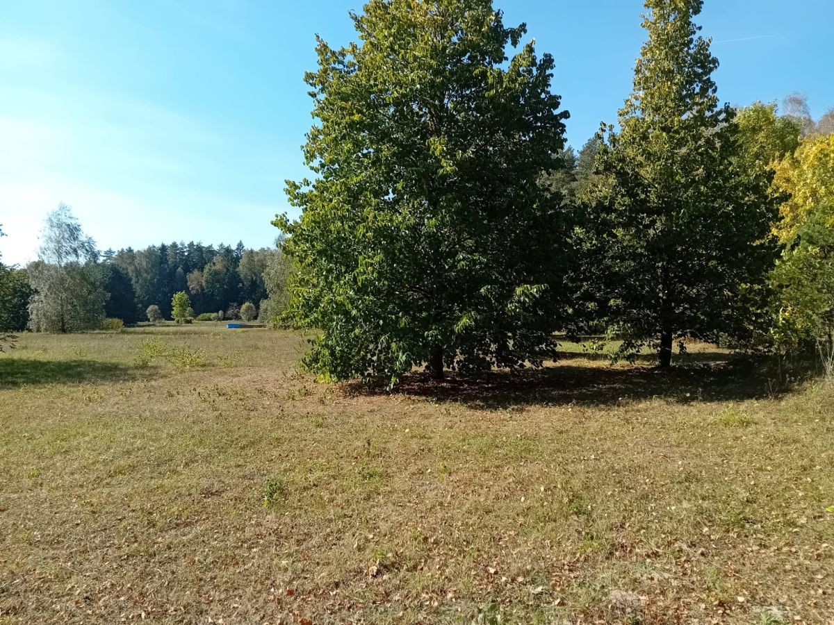 Działka budowlana Słójka Słójka - zdjęcie 7