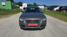 Audi A3 Climatronic  zarejestrowane wymieniony rozrząd Lębork - zdjęcie 6