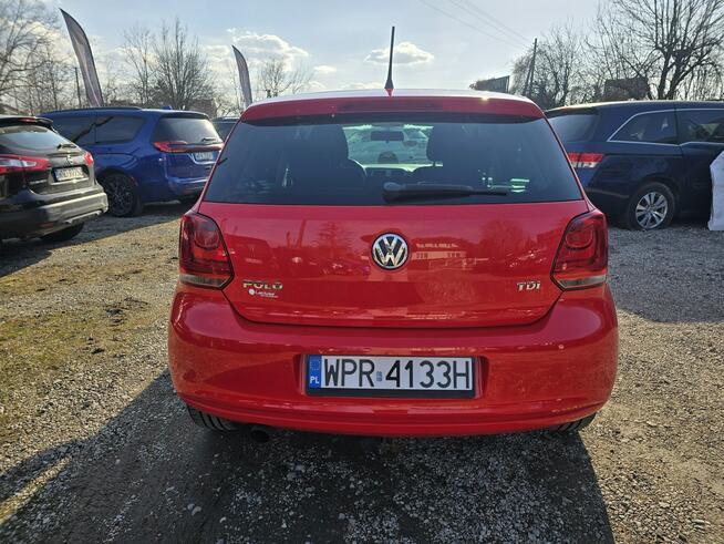 Volkswagen Polo Reguły - zdjęcie 4