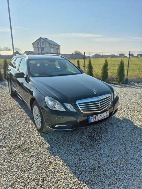 Mercedes E 350 3.0 DIESEL "RATY" Grodzisk Wielkopolski - zdjęcie 5