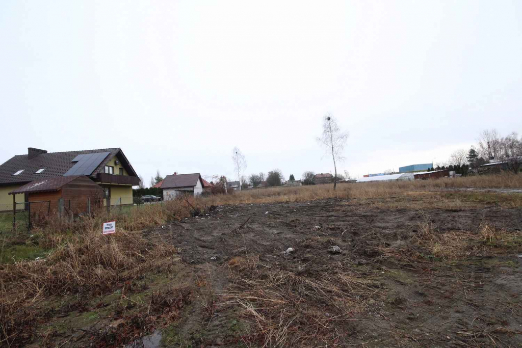 Działka Budowlana (6600 m2) okolice Różanej (Syców) Syców - zdjęcie 9
