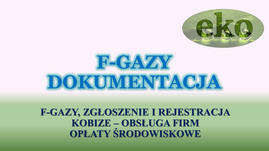 Baza Danych Sprawozdań, cena tel. 504-746-203. Obsługa firmy, fgazy Psie Pole - zdjęcie 7